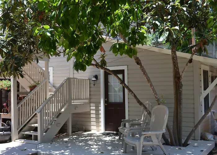 O'Casey'S Boutique Inn San Antonio